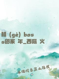 租個(gè)陸boss回家過年