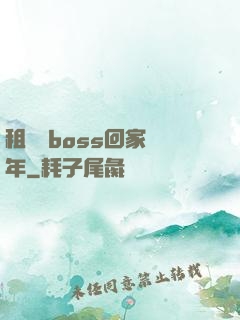 租個陸boss回家過年