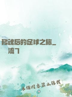 移魂后的足球之旅