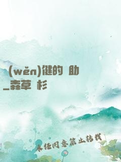 穩(wěn)健的輔助