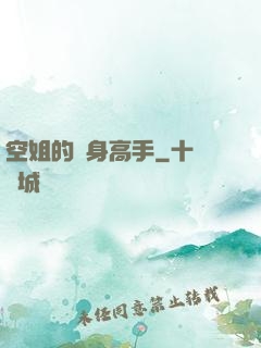空姐的貼身高手