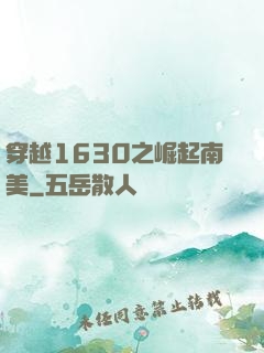 穿越1630之崛起南美