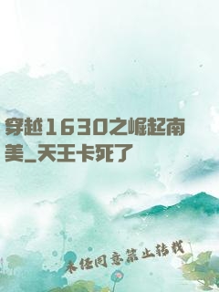 穿越1630之崛起南美