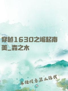 穿越1630之崛起南美
