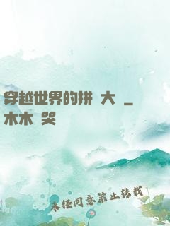 穿越世界的拼裝大師