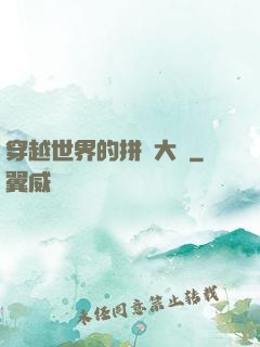 穿越世界的拼裝大師