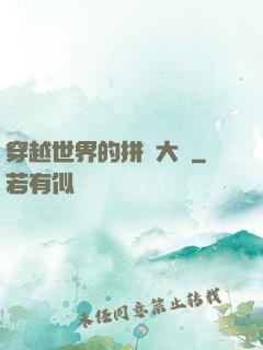 穿越世界的拼裝大師