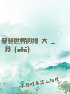 穿越世界的拼裝大師