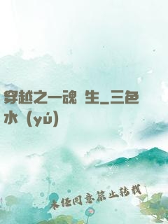 穿越之一魂雙生