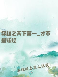 穿越之天下第一