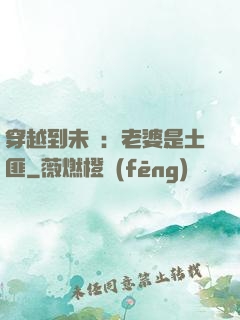 穿越到未來：老婆是土匪
