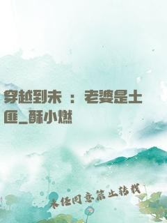 穿越到未來：老婆是土匪