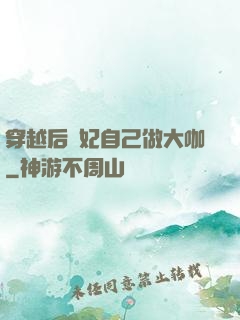 穿越后貴妃自己做大咖