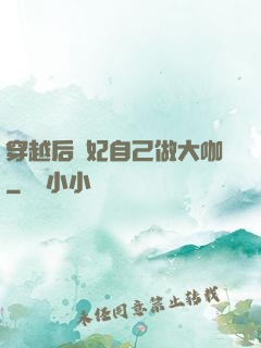 穿越后貴妃自己做大咖