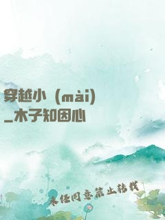 穿越小賣(mài)鋪