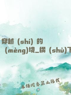穿越時(shí)間的夢(mèng)境