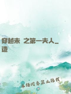 穿越未來之第一夫人