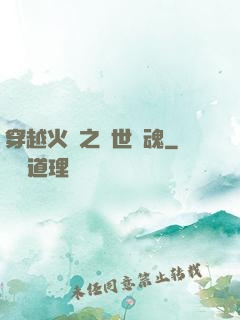 穿越火線之異世軍魂