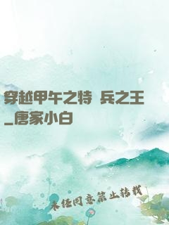 穿越甲午之特種兵之王