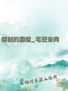 穿越的雷皇