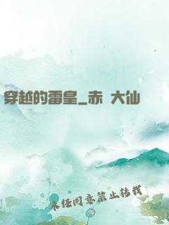 穿越的雷皇