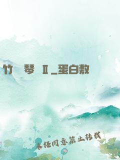 竹馬鋼琴師Ⅱ