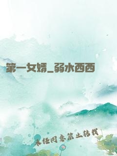 第一女婿