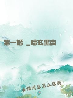 第一婚寵