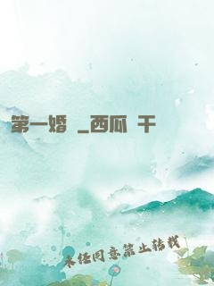 第一婚寵