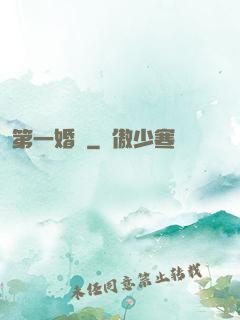 第一婚寵