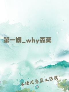 第一婿