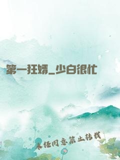 第一狂婿