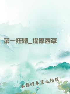 第一狂婿