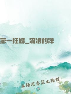 第一狂婿