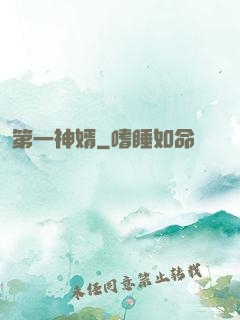 第一神婿
