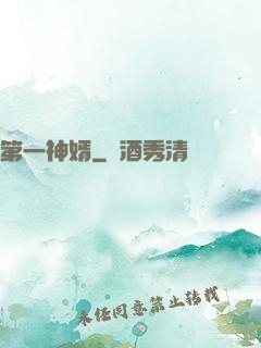 第一神婿
