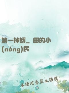 第一神婿