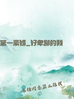 第一豪婿