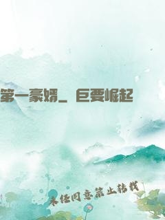 第一豪婿