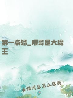 第一豪婿