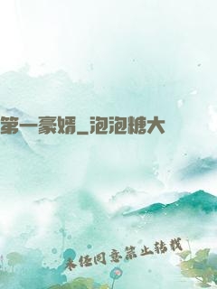 第一豪婿