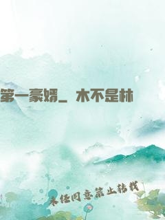 第一豪婿