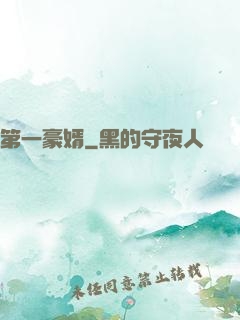 第一豪婿