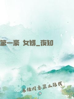 第一豪門女婿