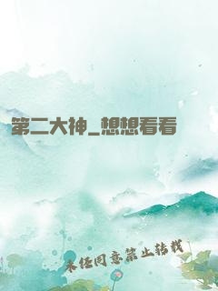 第二大神