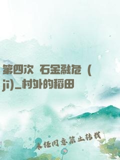 第四次靈石金融危機(jī)