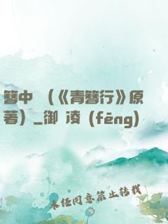 簪中錄（《青簪行》原著）