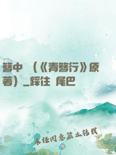 簪中錄（《青簪行》原著）