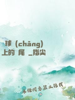 籃球場(chǎng)上的馬尾辮