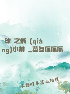 籃球夢之最強(qiáng)小前鋒